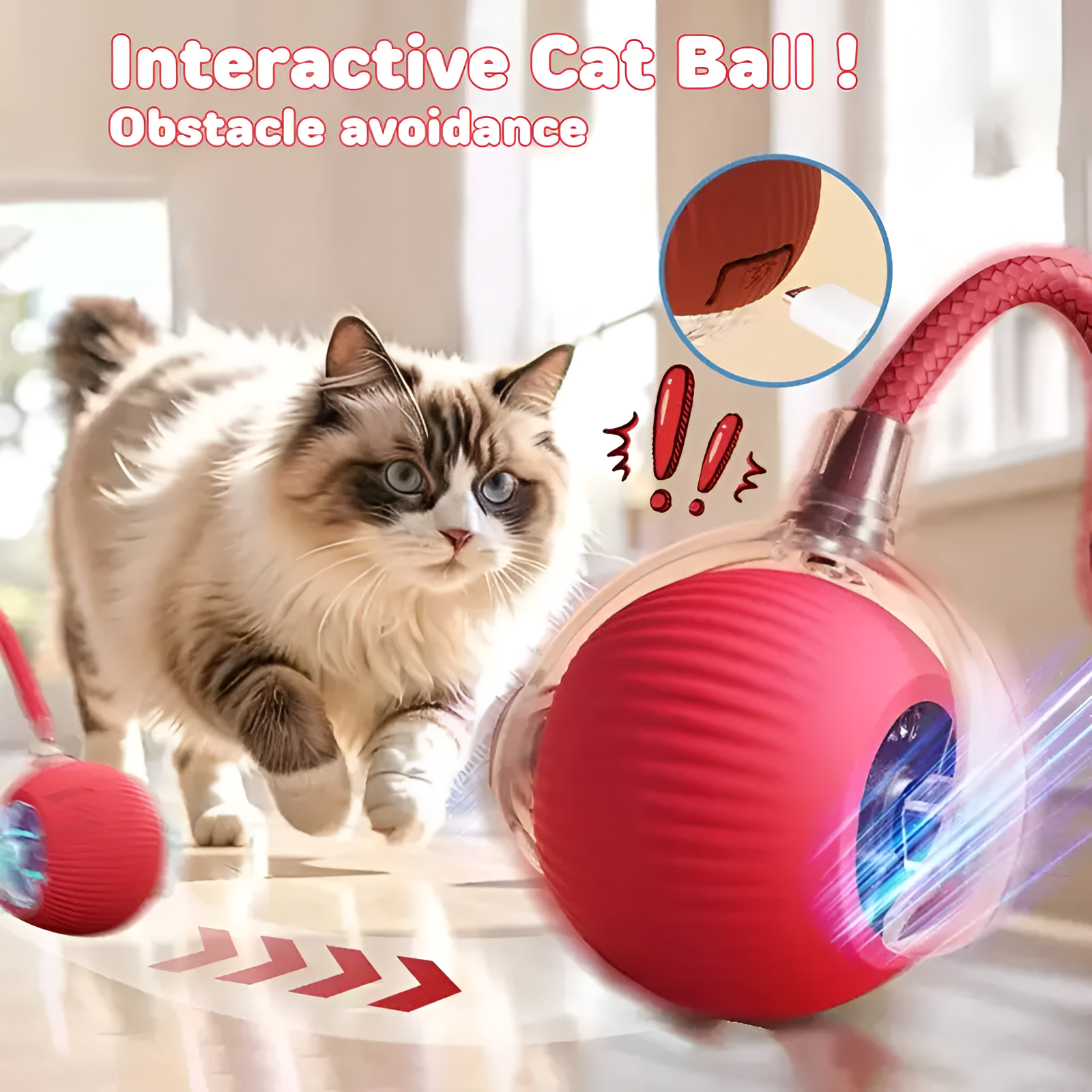 Automatic Rolling Cat Toy Ball – Keeps Indoor Cats Active, Stimulated & Stress-Free